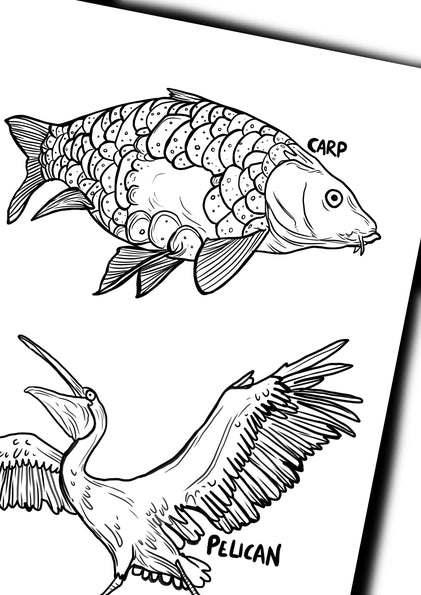 Awesome Animals colouring book