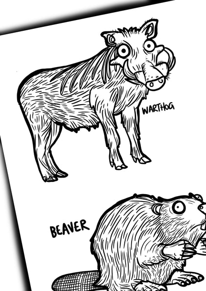Awesome Animals colouring book
