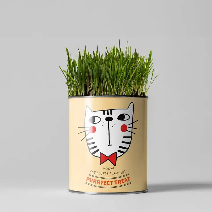 Cat Plant Growing Gift