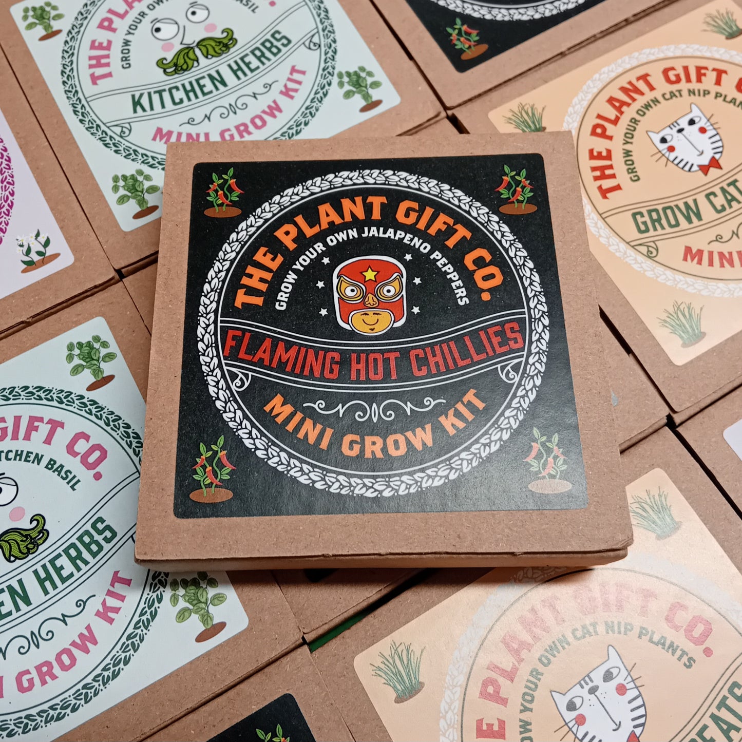Flaming Hot Chillies Mini Plant Growing Gift