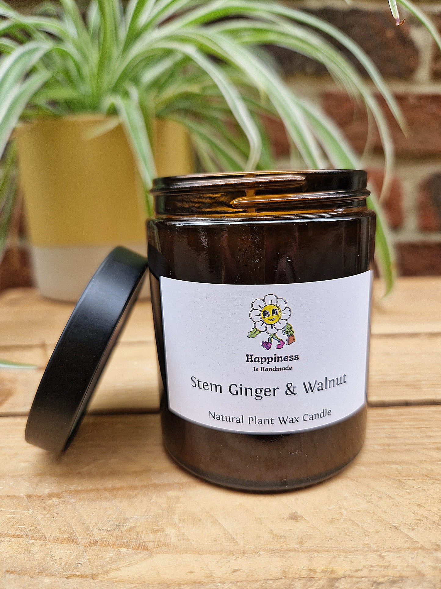 Natural Plant Wax Apothecary Jar Candles