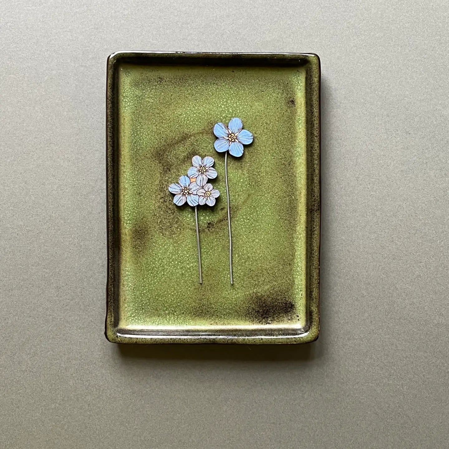 Forget Me Not Plant Pot Companions