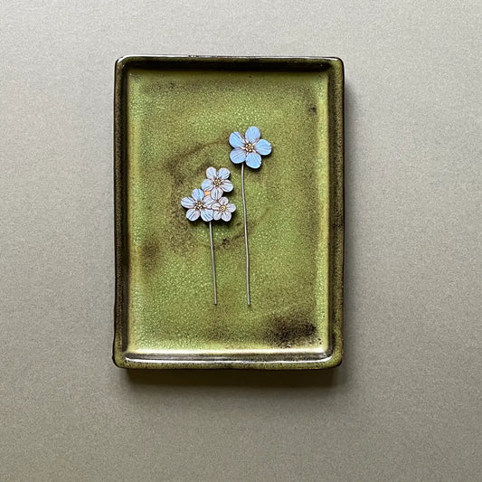 Forget Me Not Plant Pot Companions