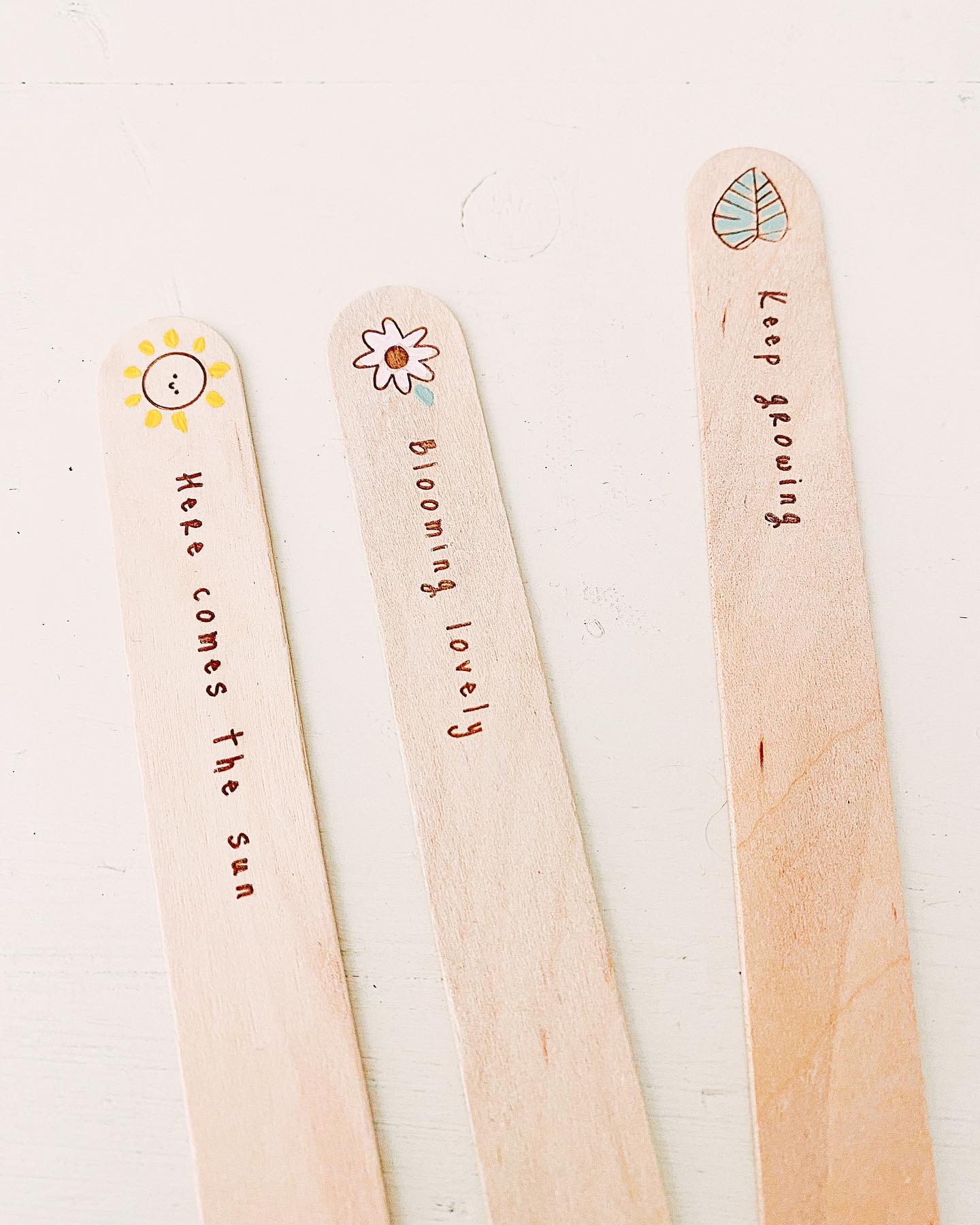 Hand Painted Plant Markers - Set Of 3