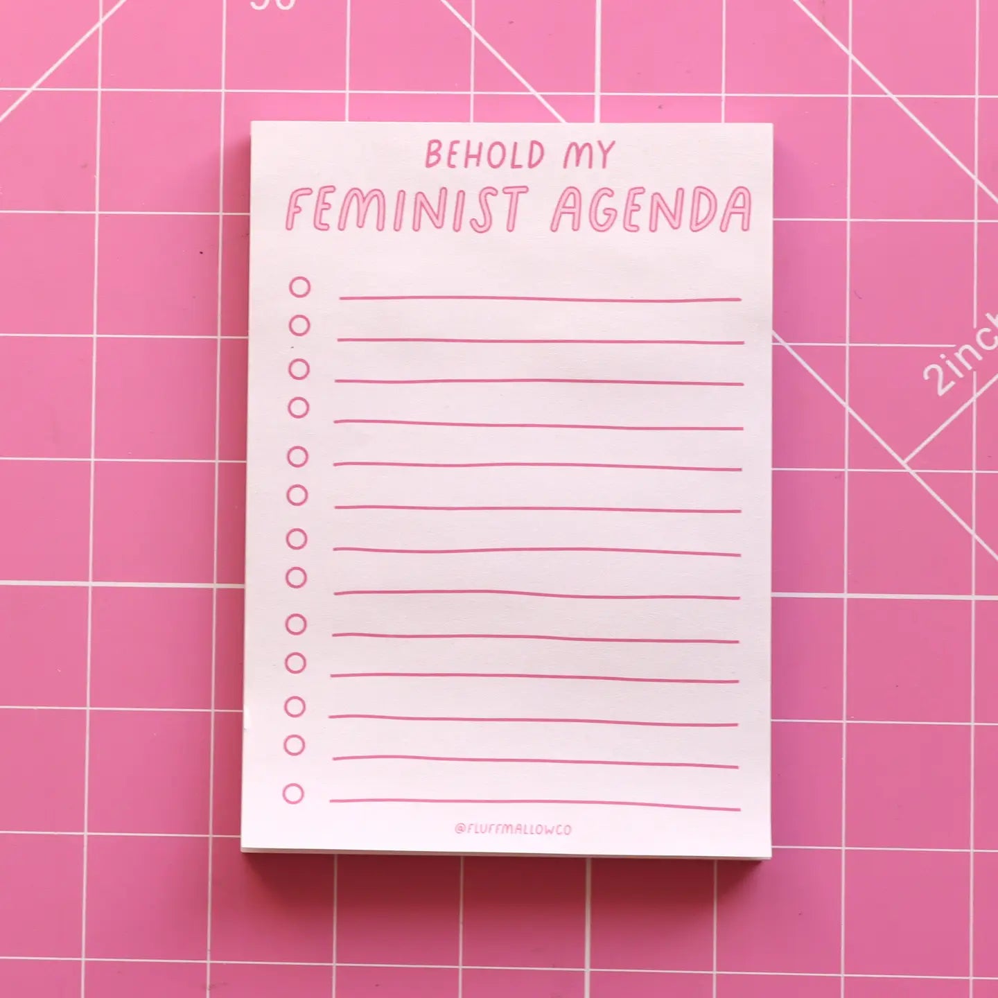 Behold My Feminist Agenda A6 Notepad