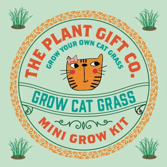 Cat Grass Mini Plant Growing Gift