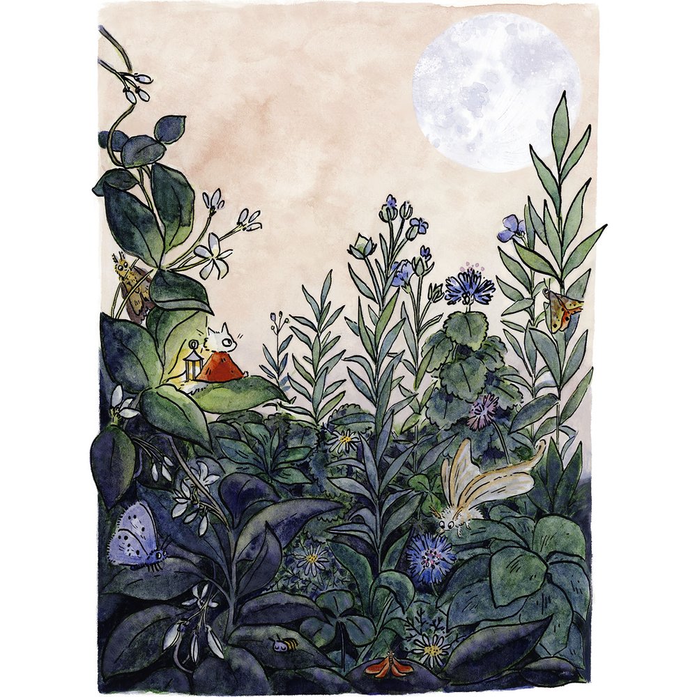 Late Summer Moths Small Gardener Print - 2 Sizes Available