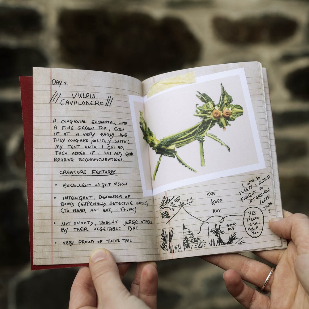 Important Notes Zine