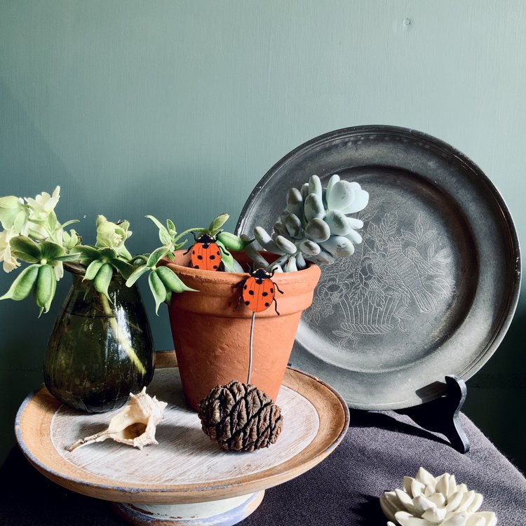Ladybird Plant Pot Companions