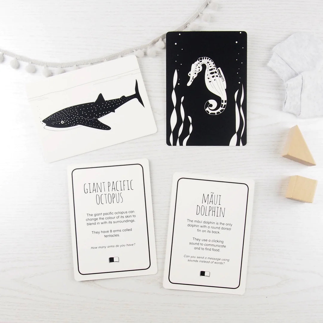 Amazing Animals Above And Below The Ocean - Interactive flash cards