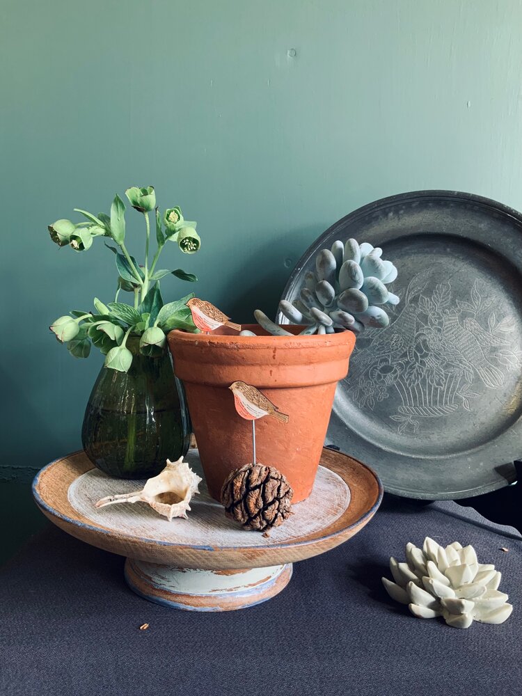 Robin Plant Pot Companions