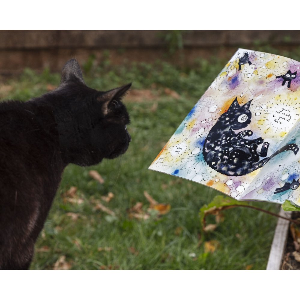 Shimmer Paths Zine