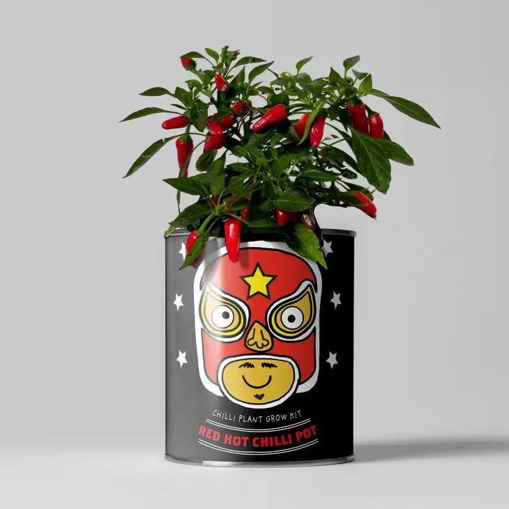 Chilli Plant Growing Gift