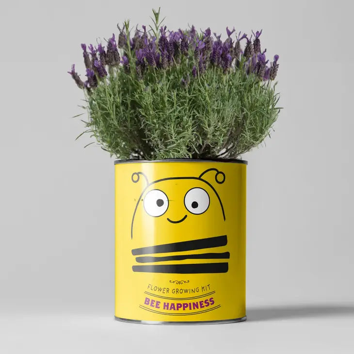 Bee Plant Growing Gift