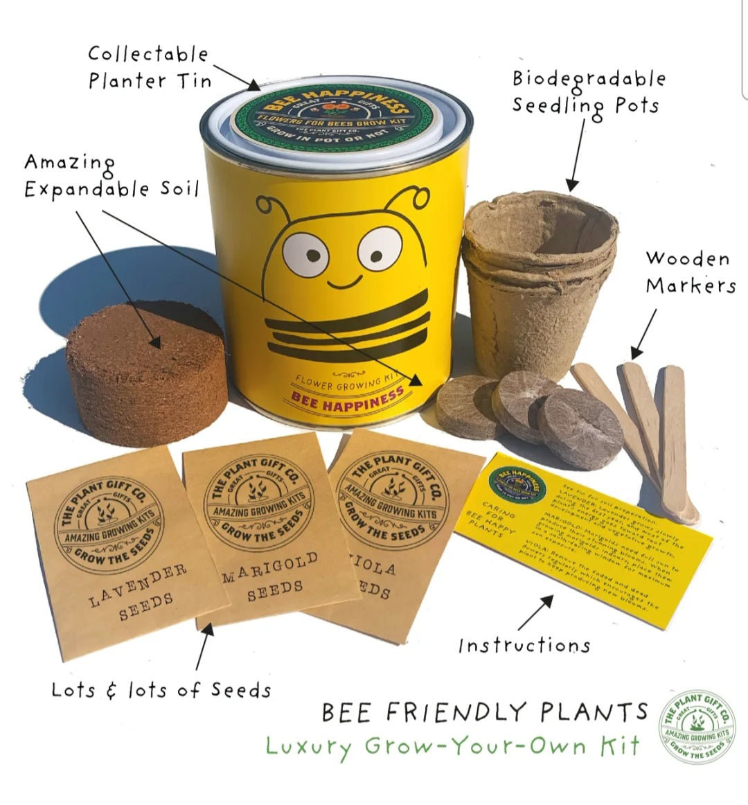 Bee Plant Growing Gift