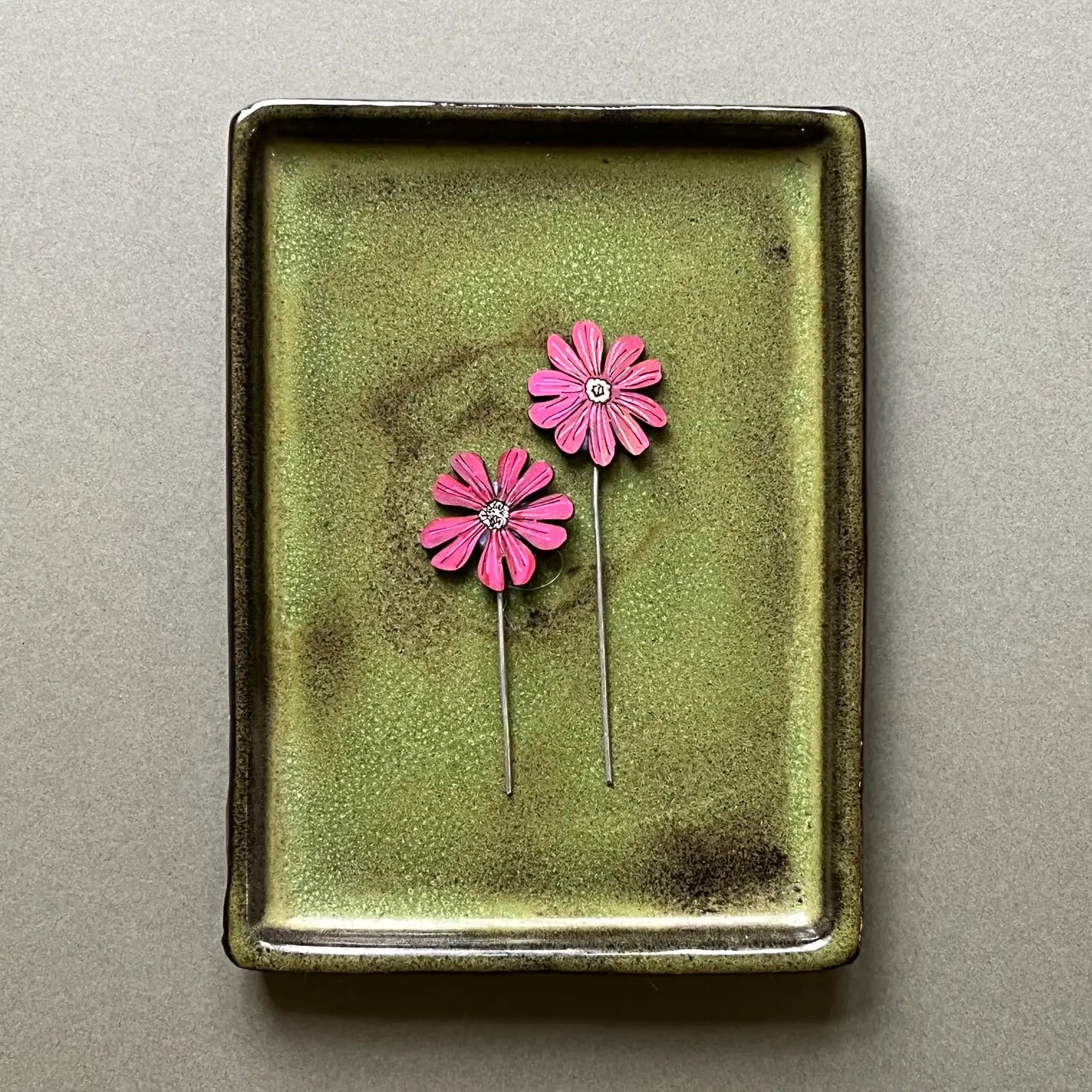 Red Campion Plant Pot Companions