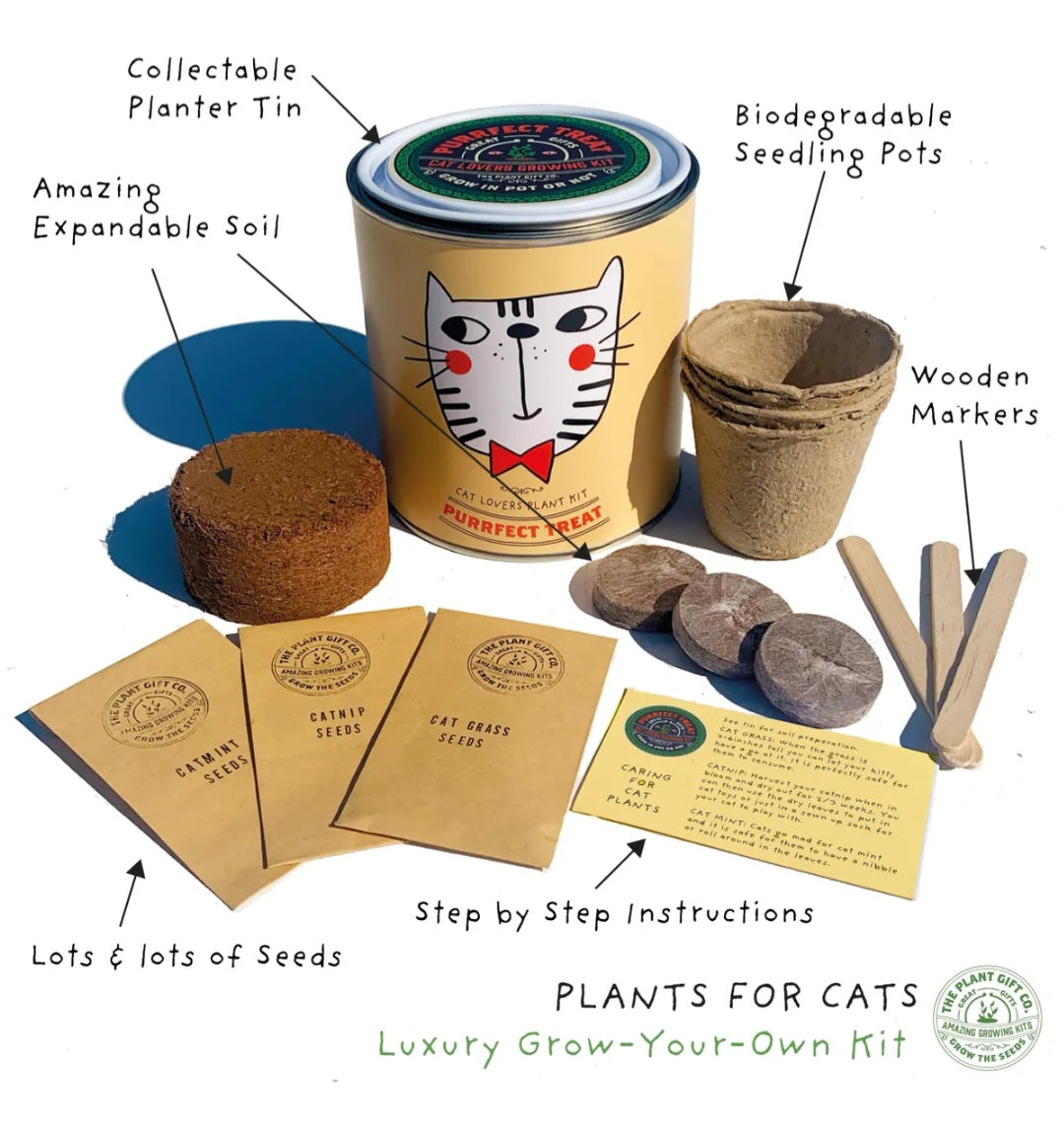 Cat Plant Growing Gift