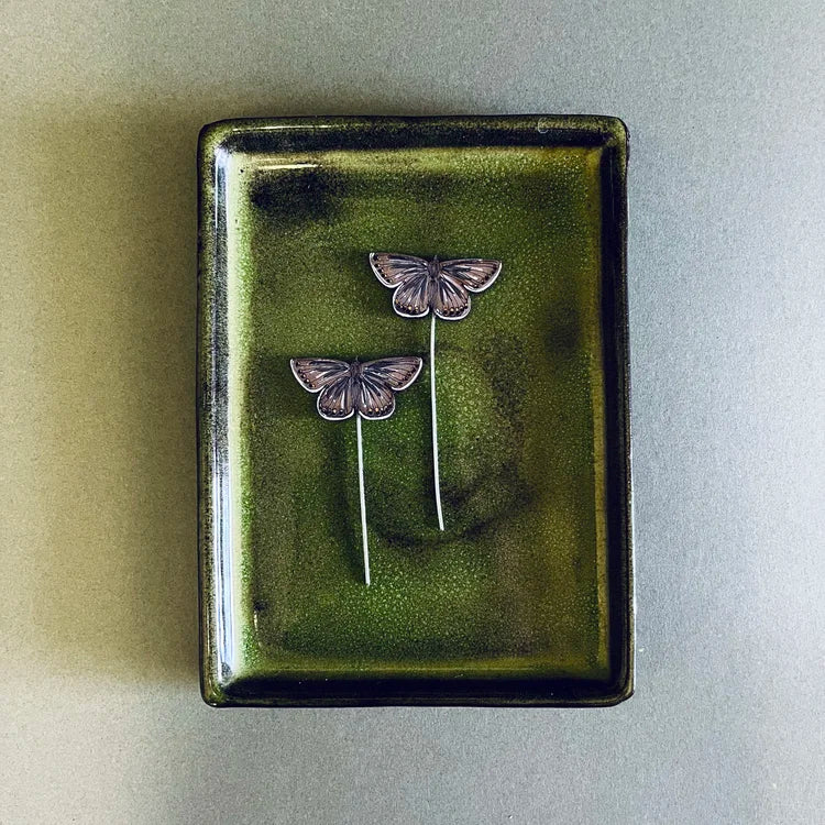 Common Blue Butterfly Plant Pot Companions
