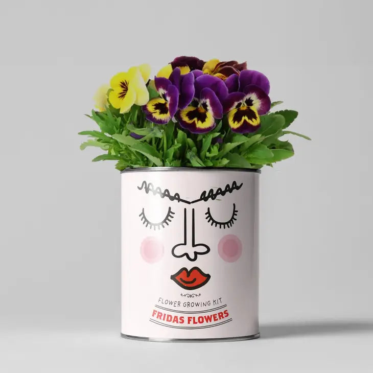 Frida Flowers Plant Growing Gift