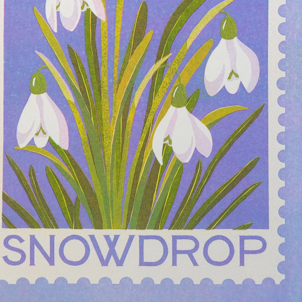 Snowdrop A5 Risograph Print