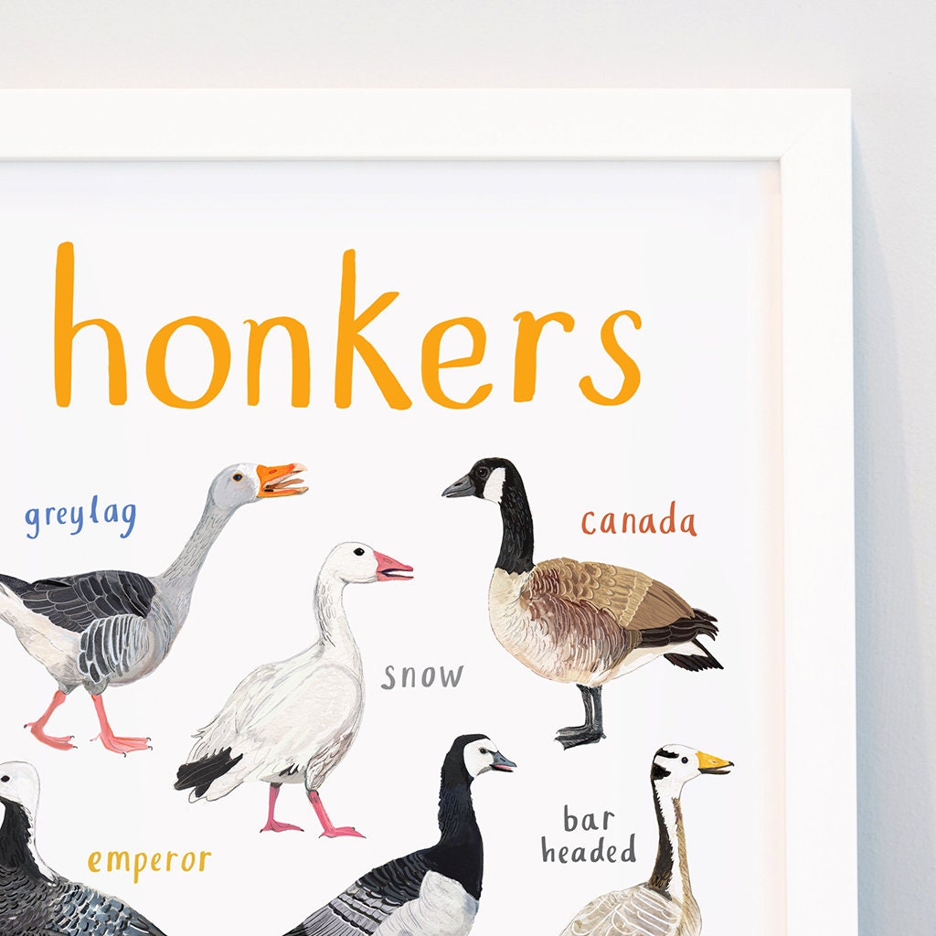 Honkers A4 Art Print