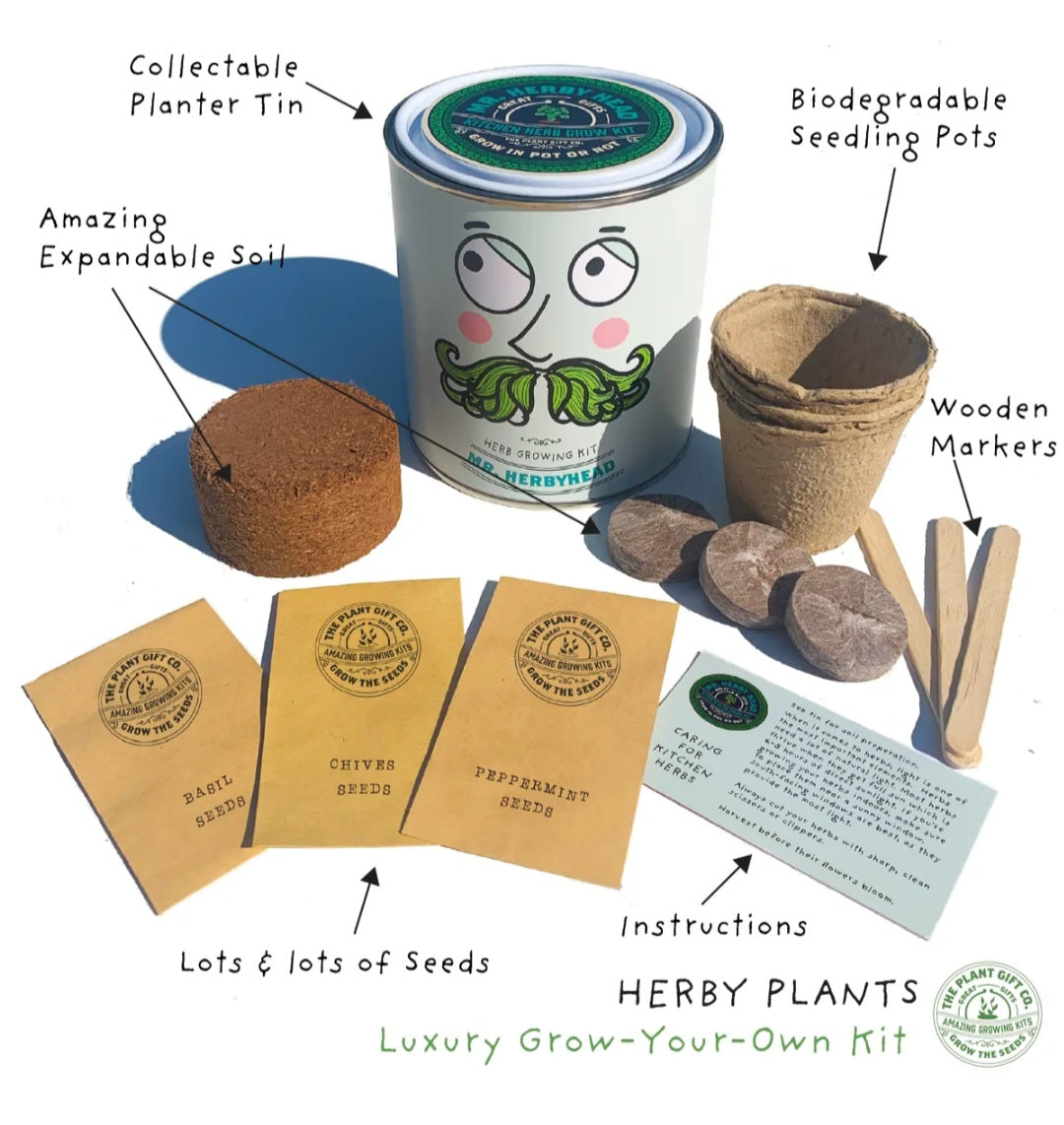 Mr Herbyhead Plant Growing Gift
