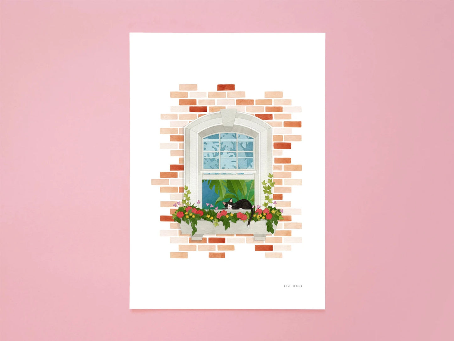 Cat Nap Print - Available in 2 sizes