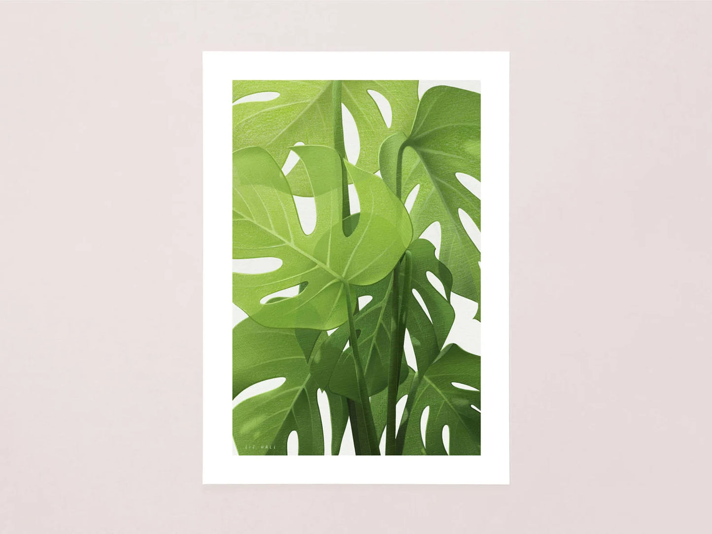 Monstera Print - Available in 2 sizes