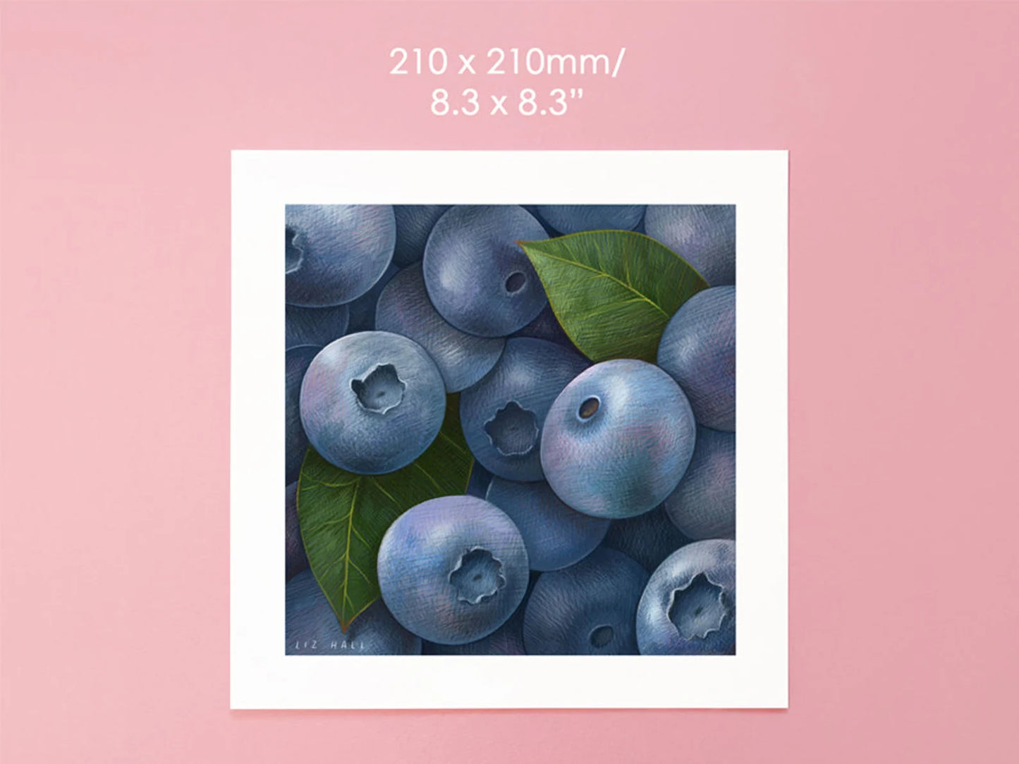 Blueberries Square Print