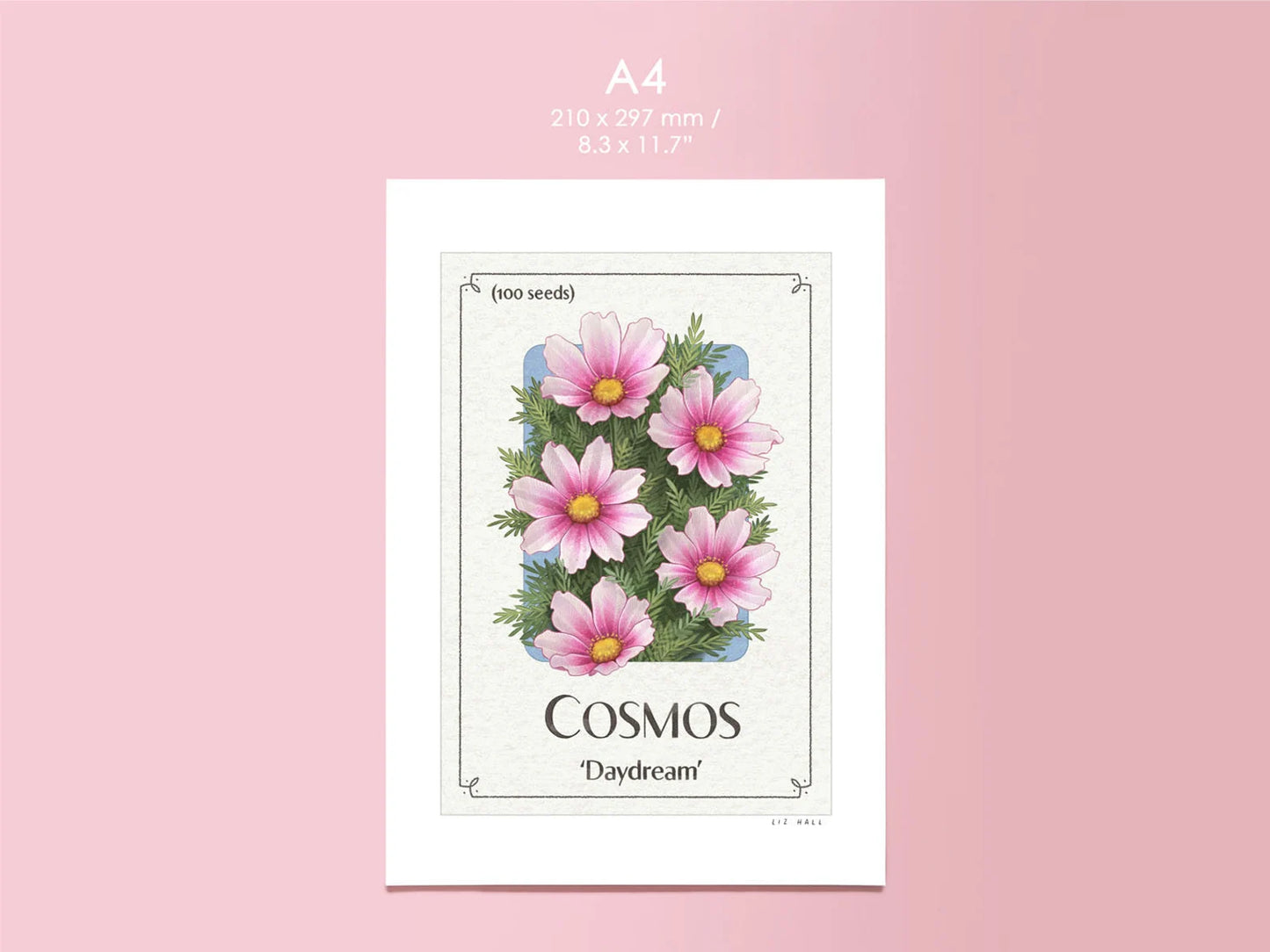 Cosmos A4 Print