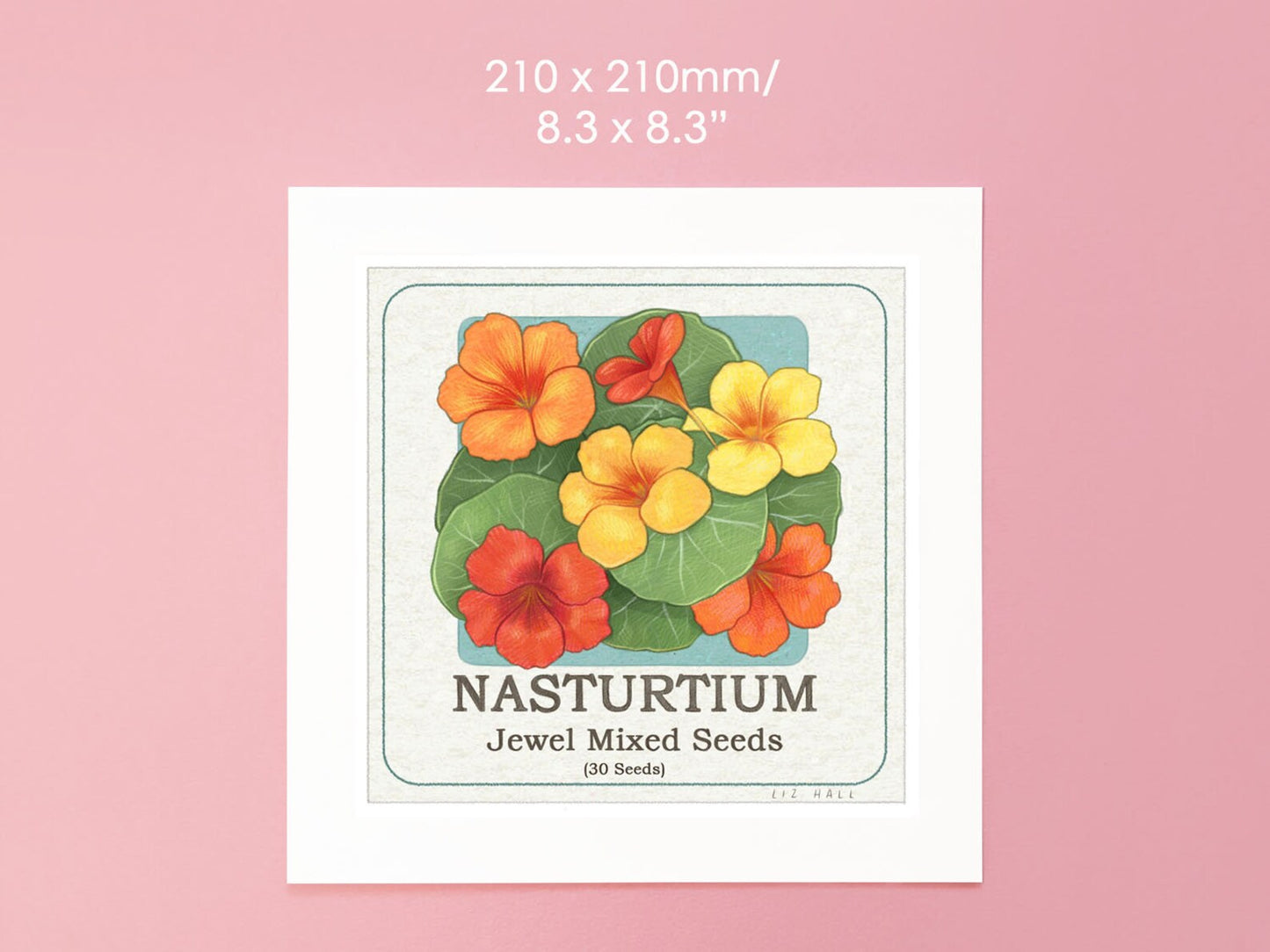 Nasturtium Square Print