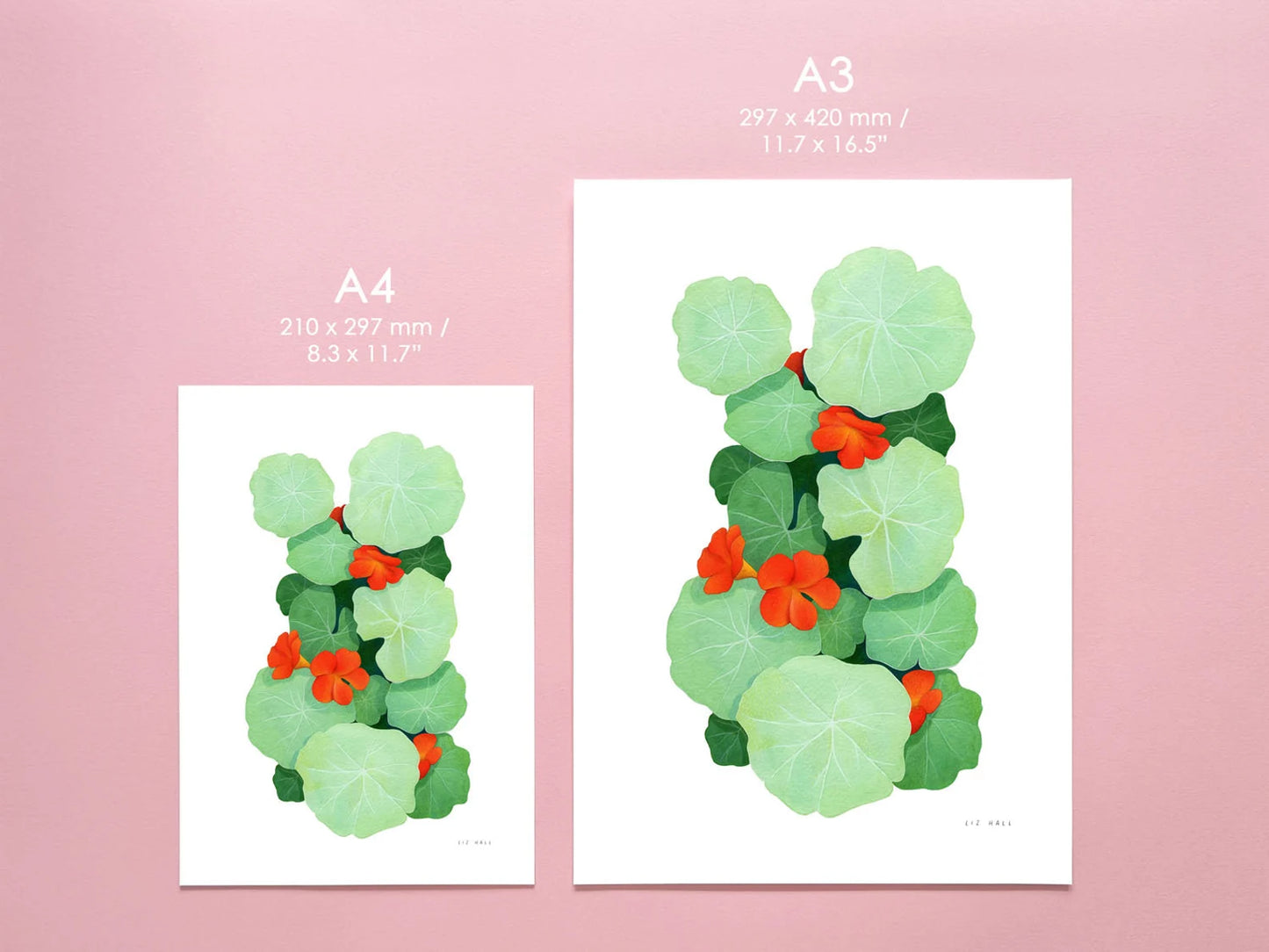 Nasturtium Print - Available in 2 sizes
