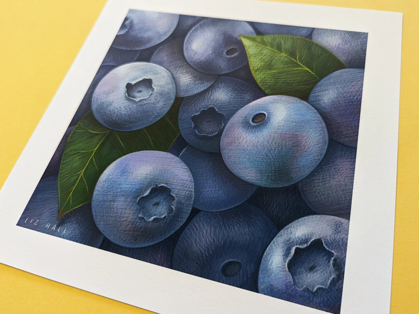 Blueberries Square Print