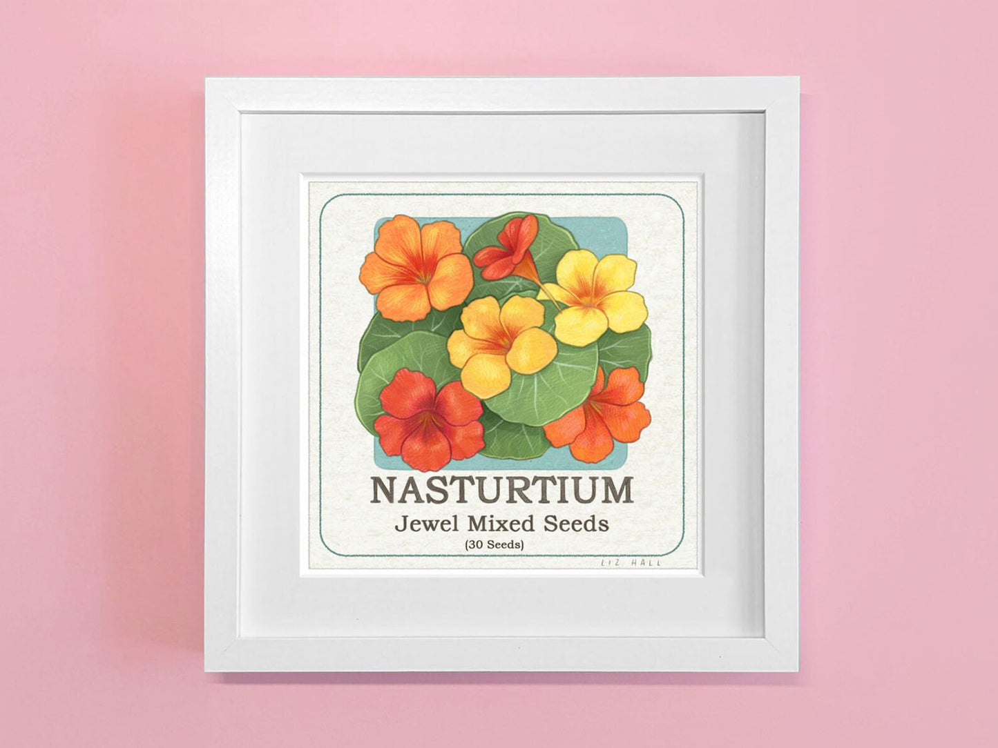 Nasturtium Square Print