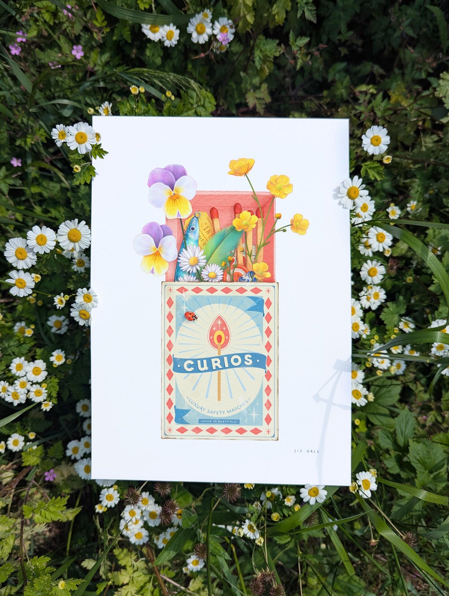 Curious Matchbox Print - Available in 2 sizes