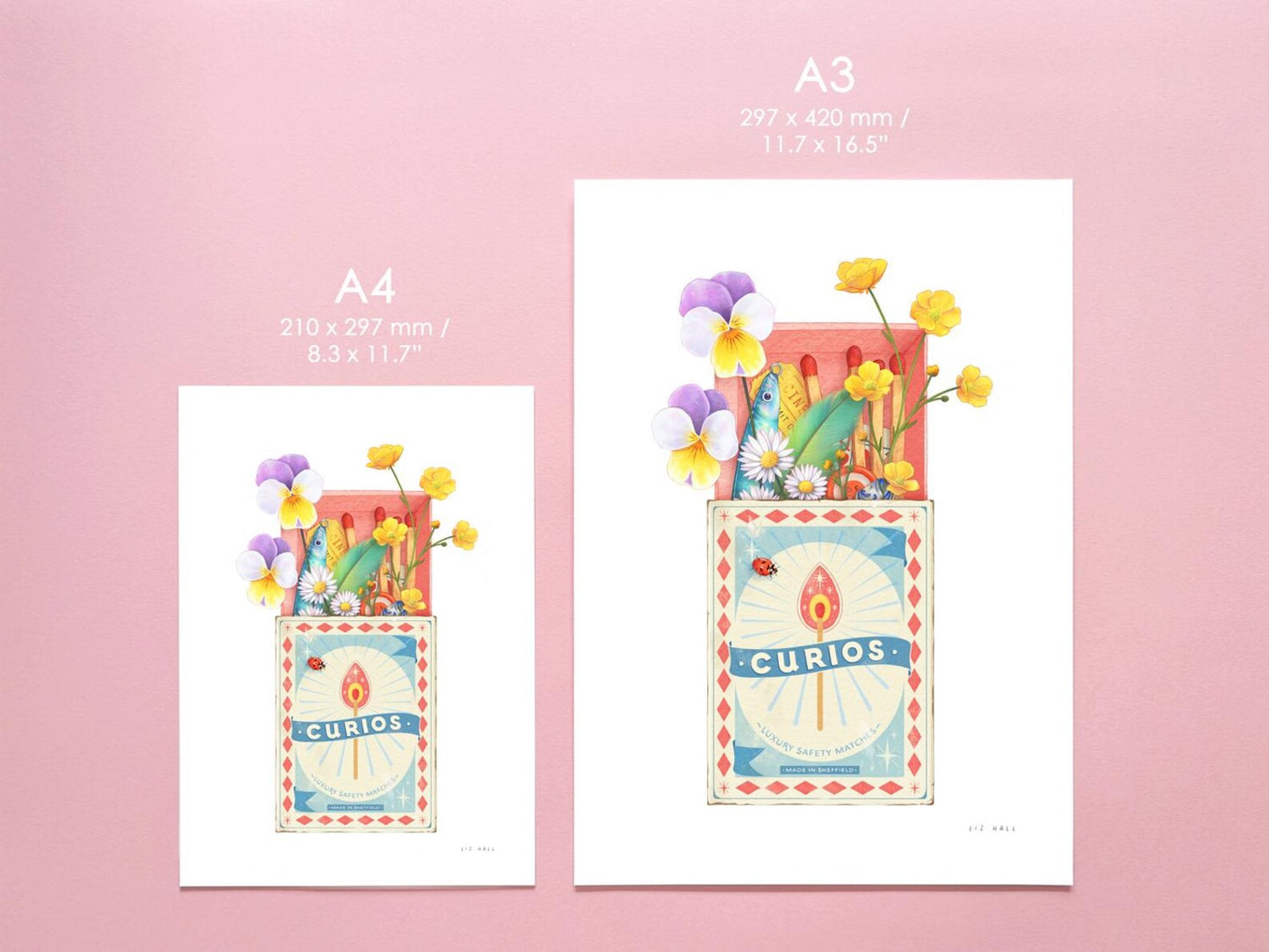 Curious Matchbox Print - Available in 2 sizes