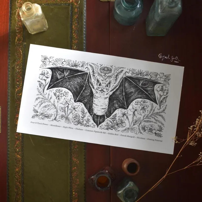 Chiropterophily Bat Art Print