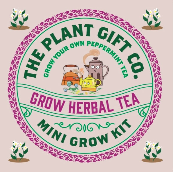Peppermint Herbal Tea Mini Plant Growing Gift