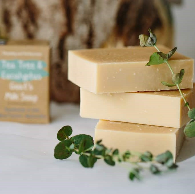 Tea Tree and Eucalyptus Goats Milk Soap