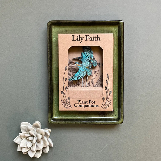 Kingfisher Plant Pot Companions