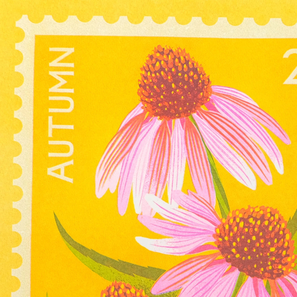 Echinacea A5 Risograph Print