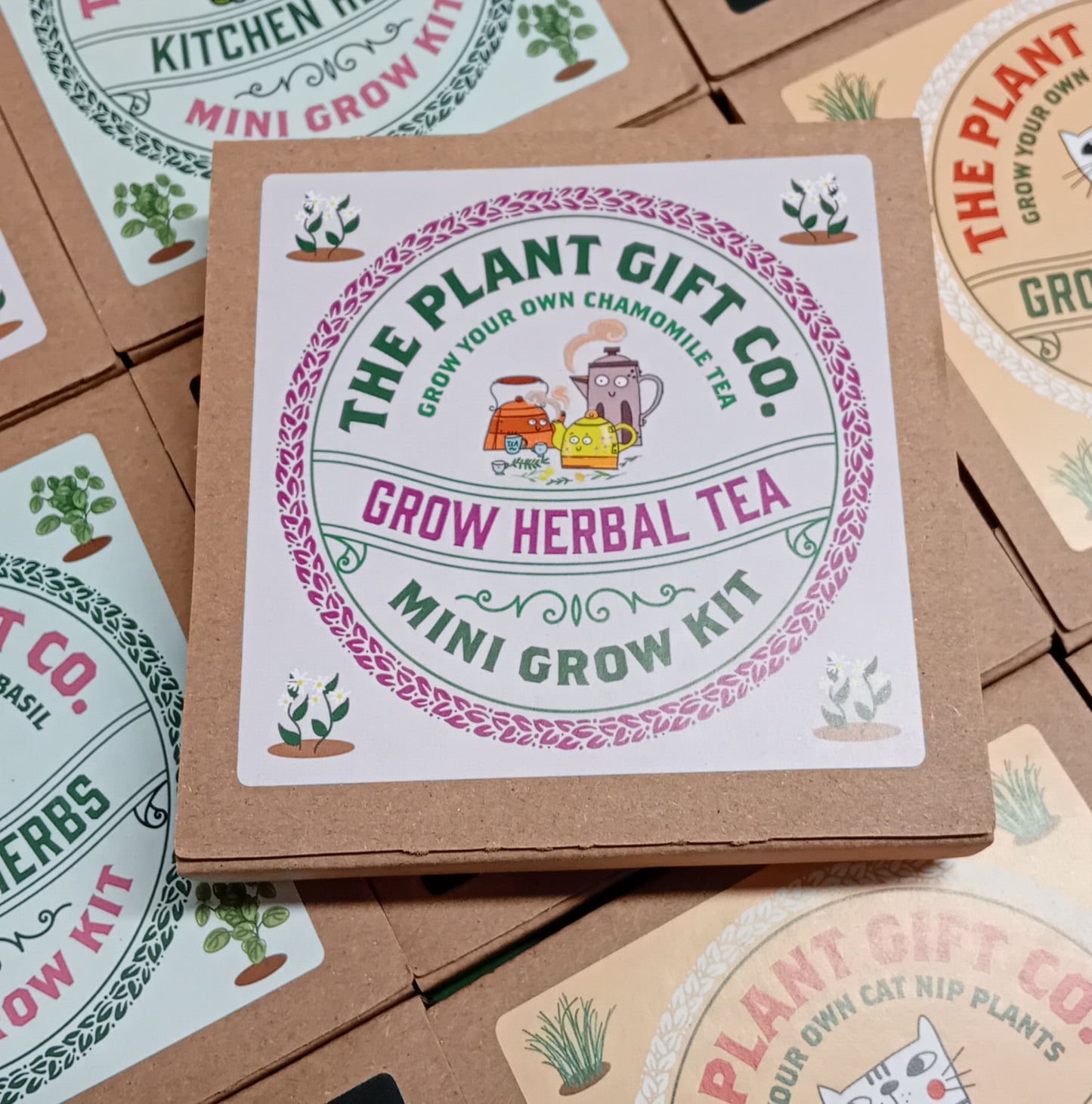 Peppermint Herbal Tea Mini Plant Growing Gift
