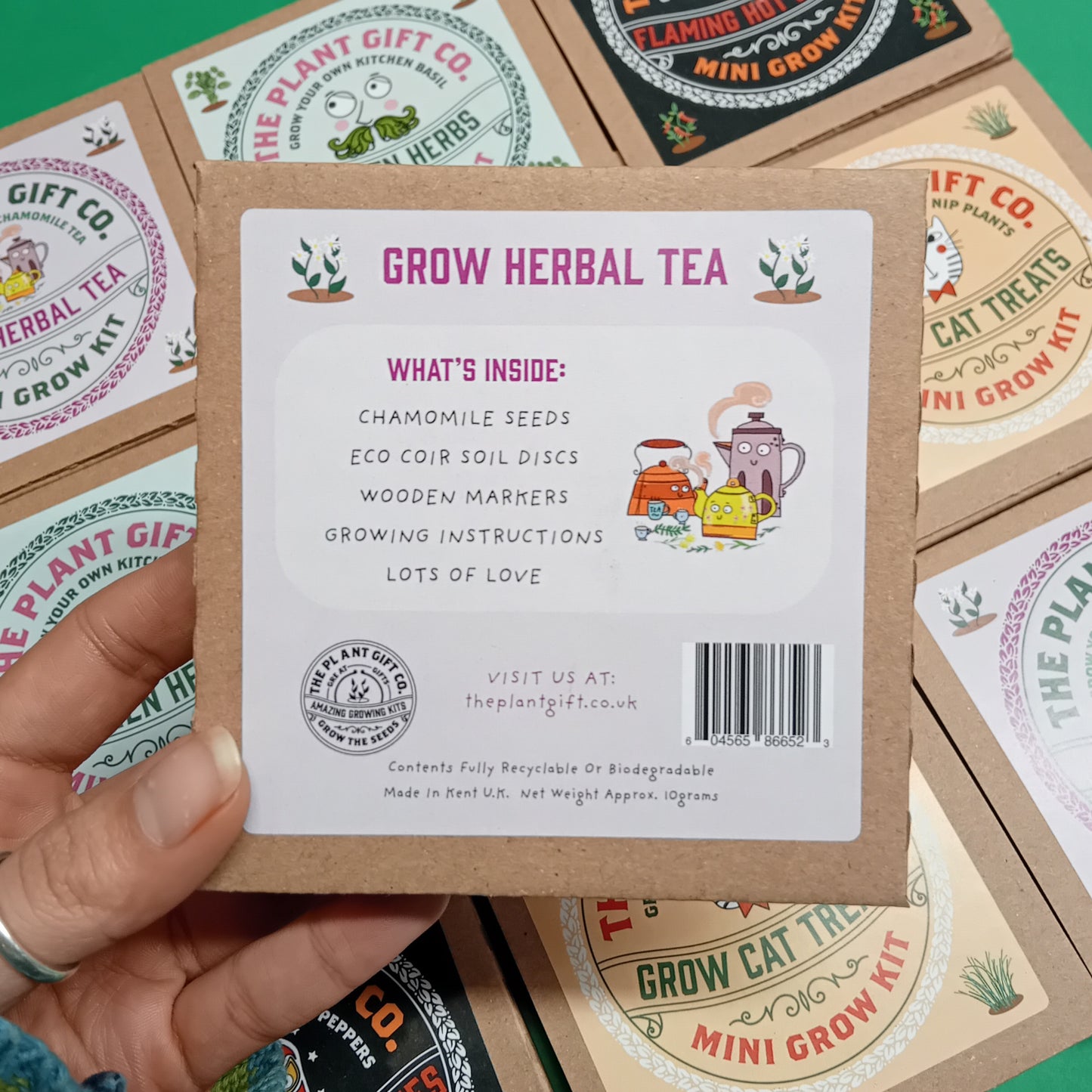 Peppermint Herbal Tea Mini Plant Growing Gift