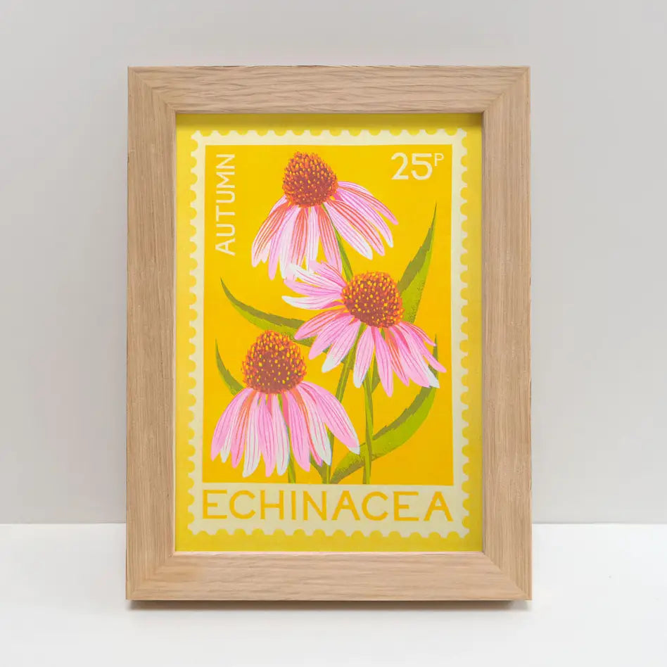 Echinacea A5 Risograph Print