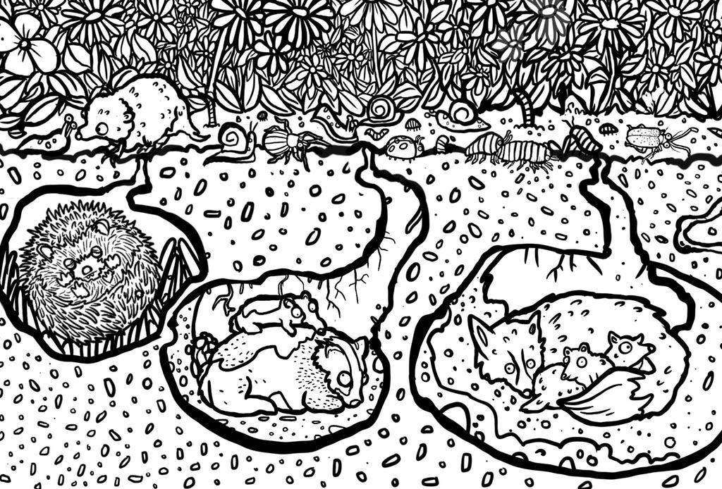 Garden! Giant Colouring Poster