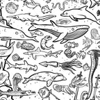 Ocean! Giant Colouring Poster