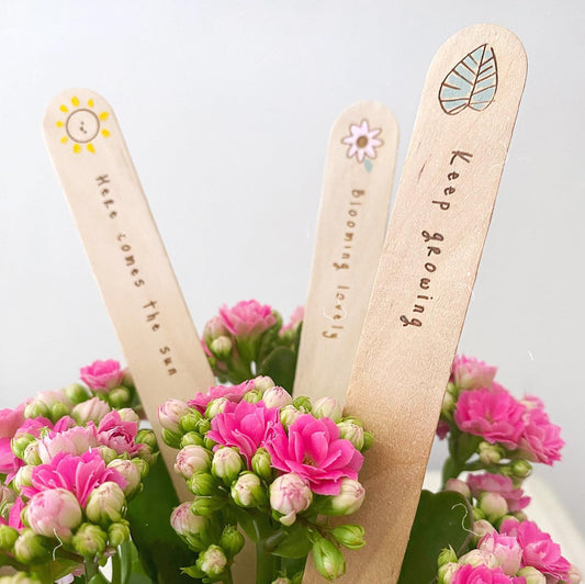 Hand Painted Plant Markers - Set Of 3