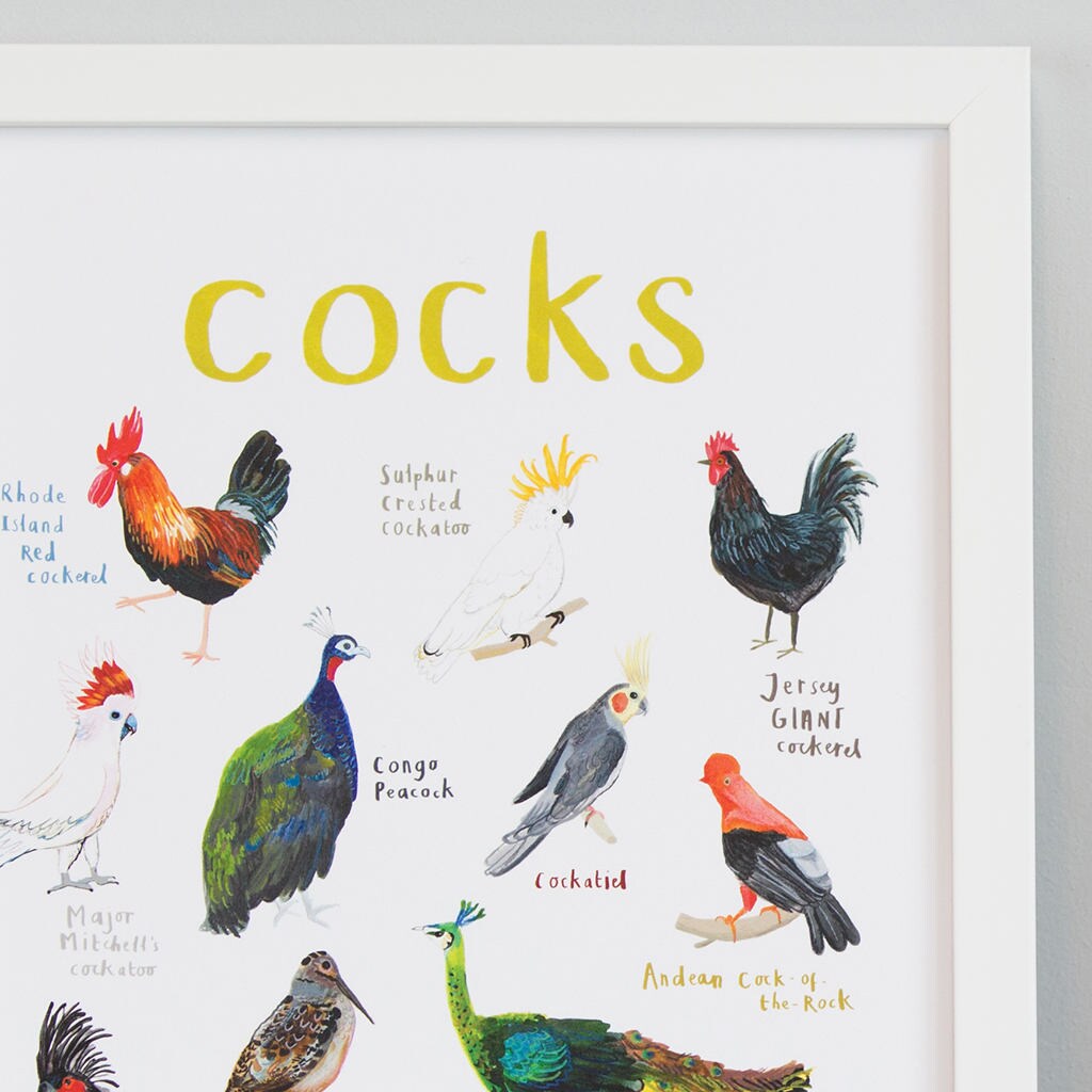 Cocks A4 Art Print