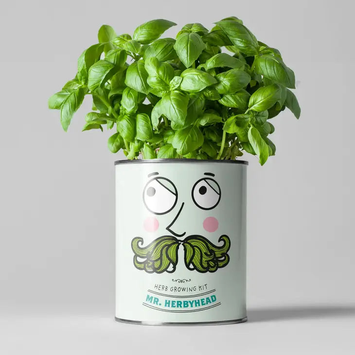 Mr Herbyhead Plant Growing Gift