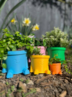 Happy Pot Pals - Various sizes and colours!